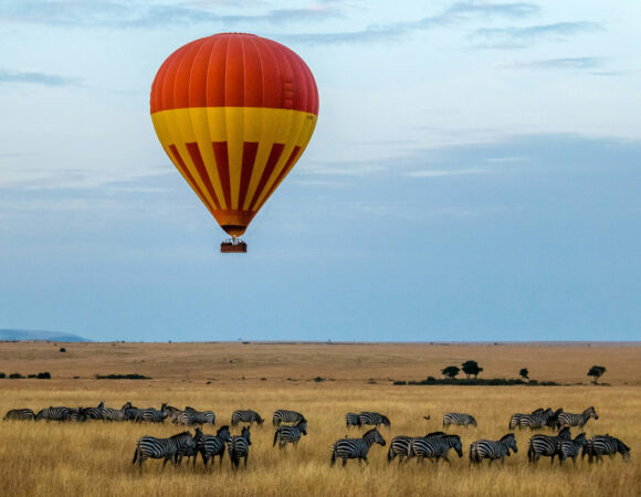 Why Kenya Should Be Your Next Safari Destination