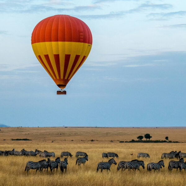 Why Kenya Should Be Your Next Safari Destination