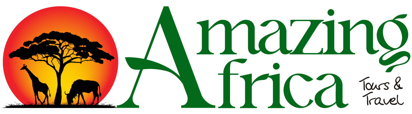 Amazing Africa Tours and Travels