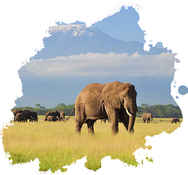 Amboseli National Park