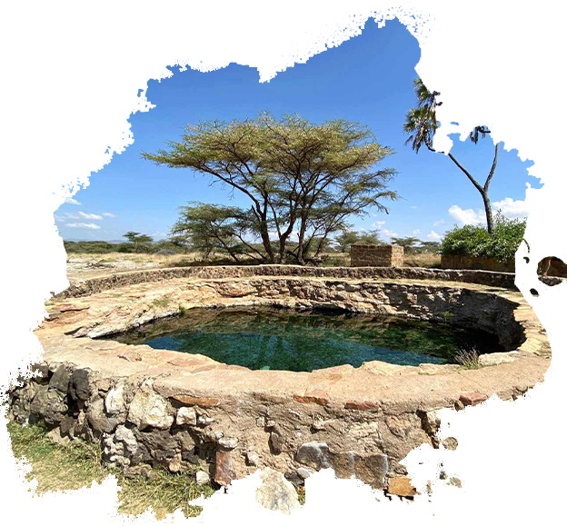 Buffalo Springs National Reserve