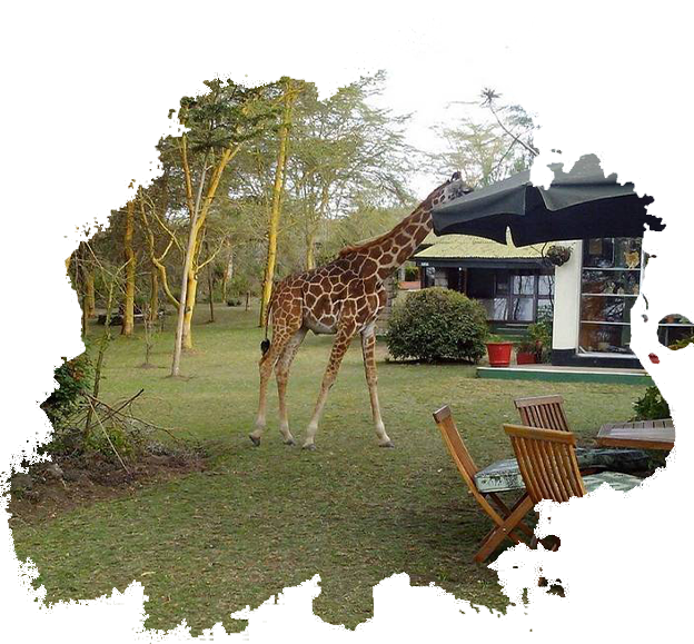 Elsa Mere Conservation Centre