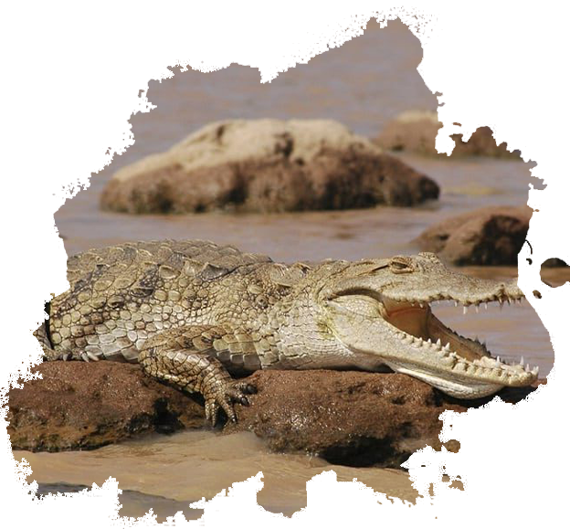 Lake Baringo