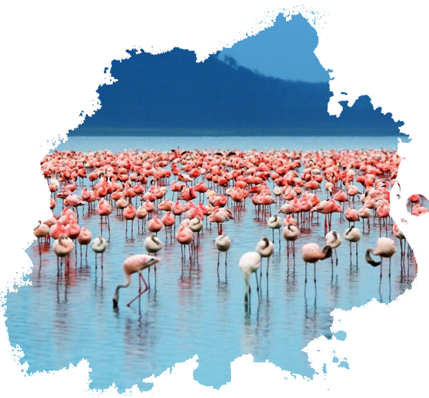 Lake Nakuru National Park