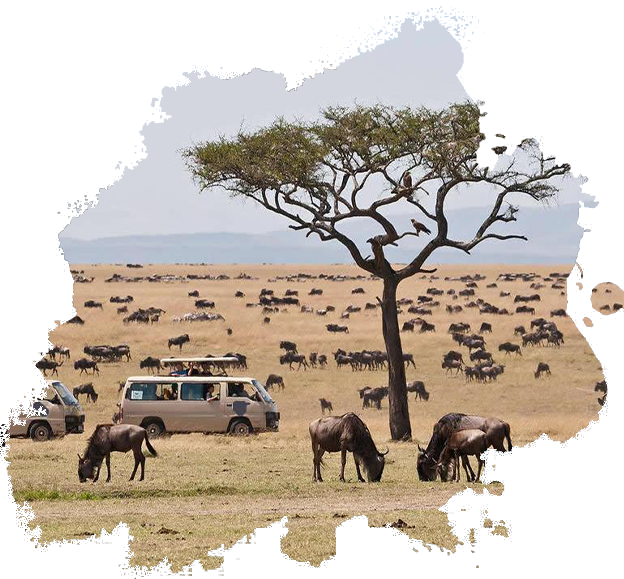 Maasai Mara National Reserve