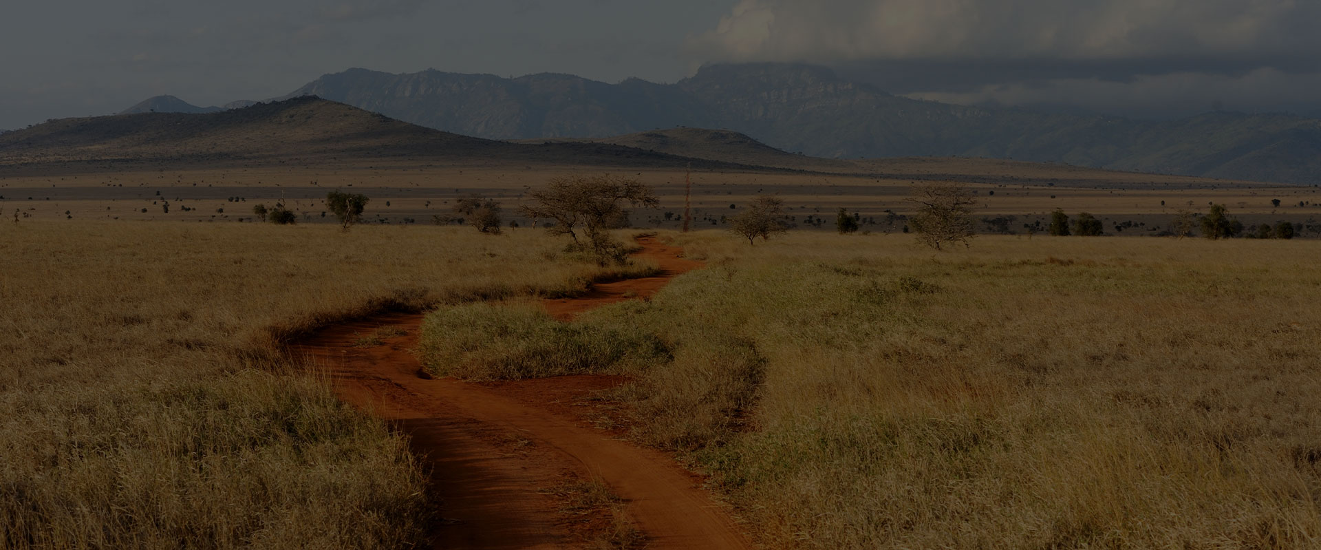 Safaris
