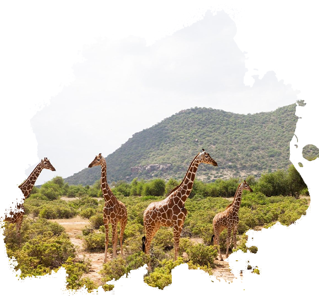 Samburu National Reserve
