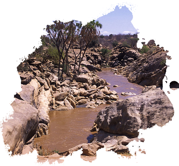 Shaba National Reserve