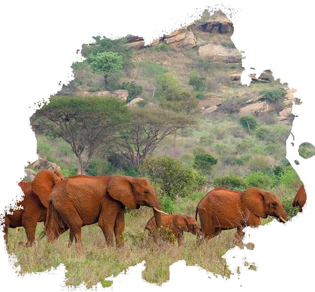Tsavo East National Park
