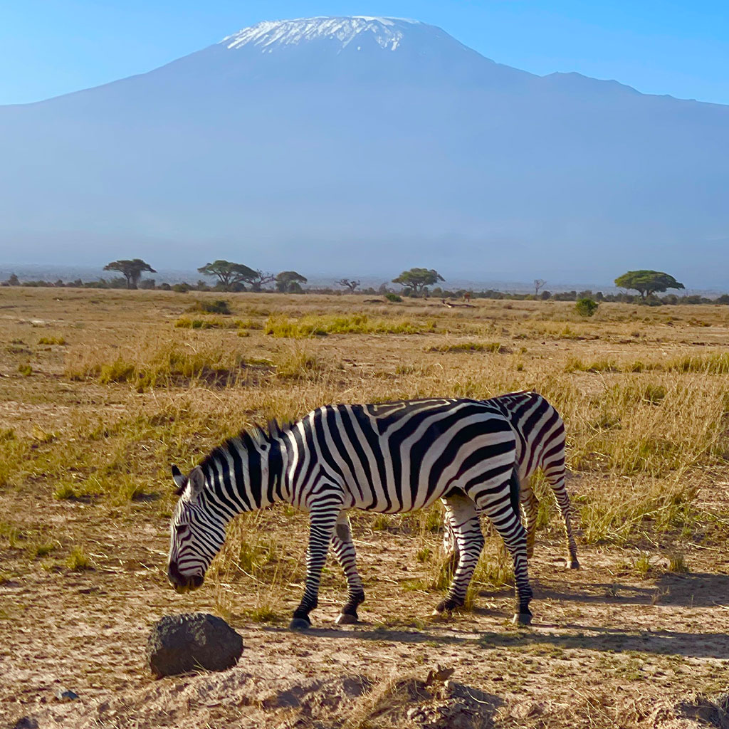 Amboseli