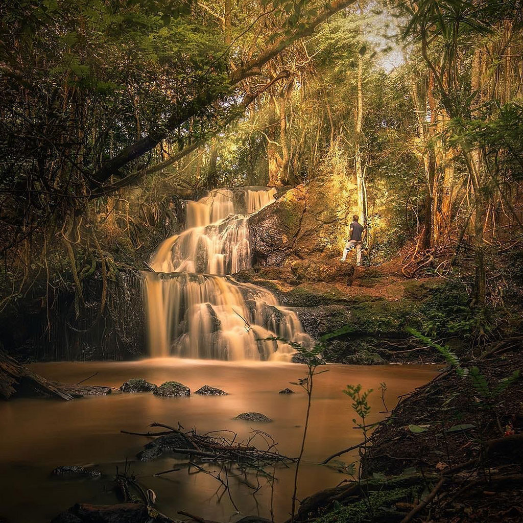 Karura Forest
