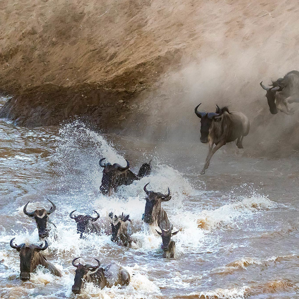 Maasai Mara