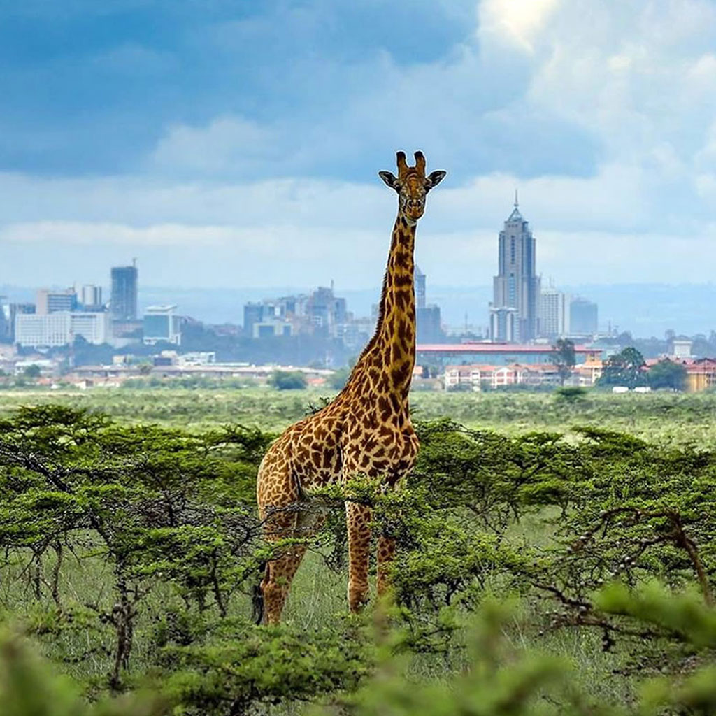 Nairobi Ntl Park
