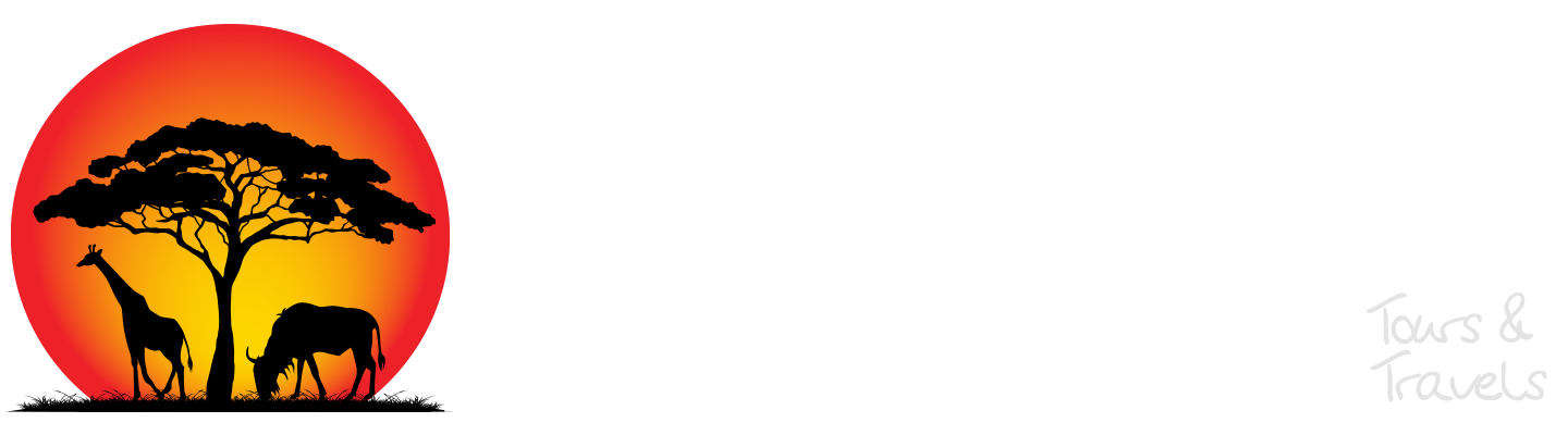 Web Logo White